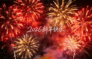 麗水威儀自動(dòng)化技術(shù)有限公司祝大家新年快樂！